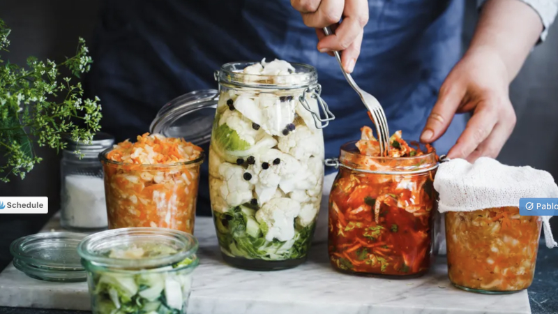 alimentos probioticos