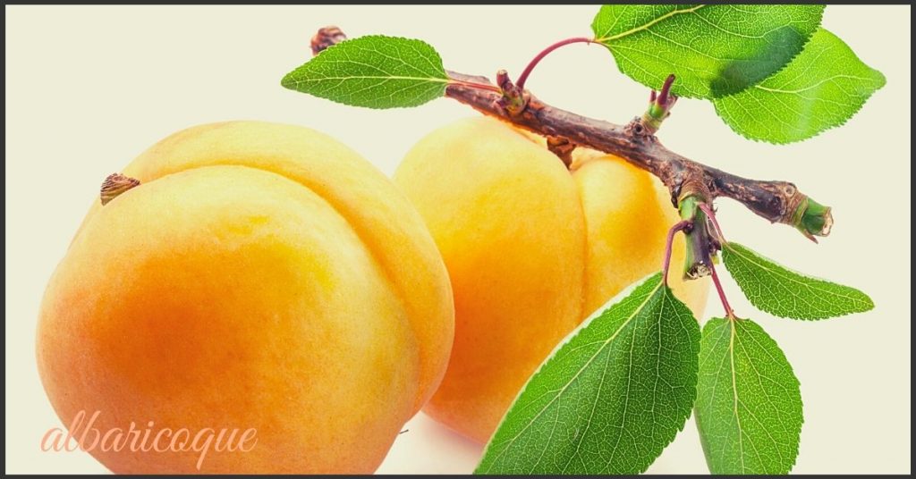 Beneficios del albaricoque para la salud: